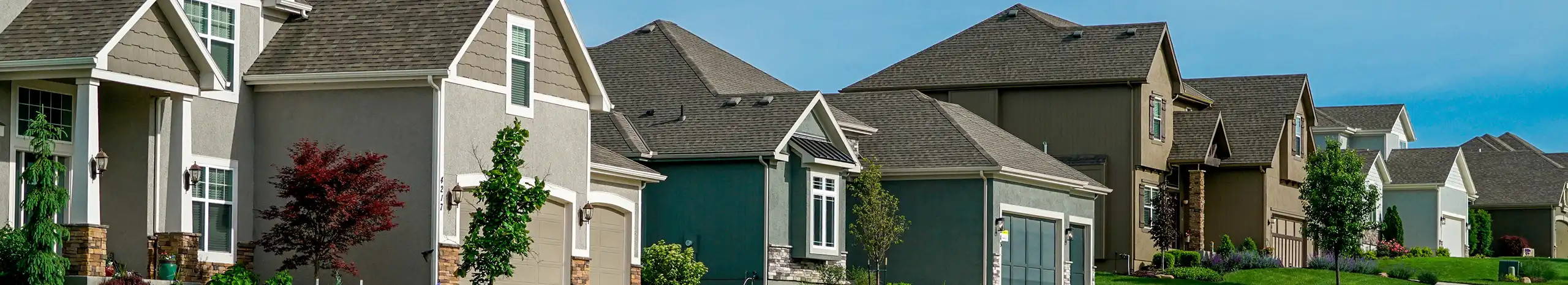 A line of houses in a neighborhood | World Pest Control serving Salina, KS